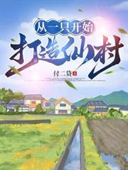 从一只鸡开始打造仙村小说