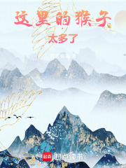 这里的猴子太多了！